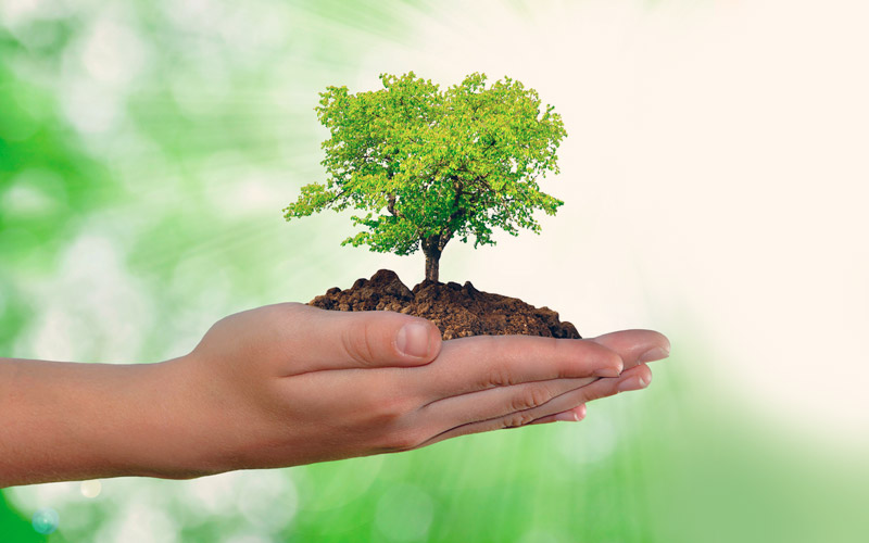 ¿qué Puedo Hacer Cada Día Para Cuidar El Medio Ambiente Revista