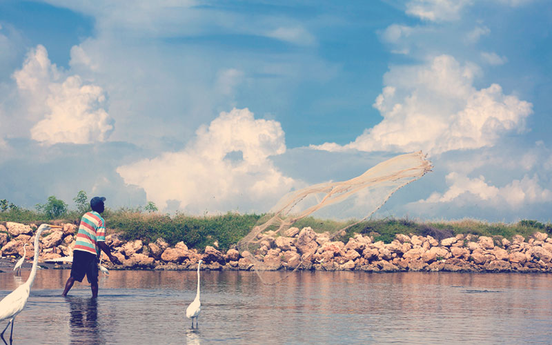 Biodiversidad Cartagena