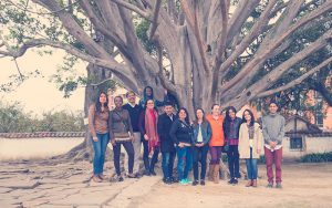 Colombianos en un árbol, generando liderazgo colectivo