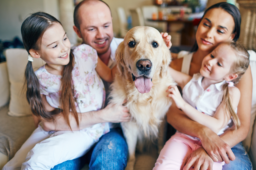 Perro labrador junto a su familia en casa