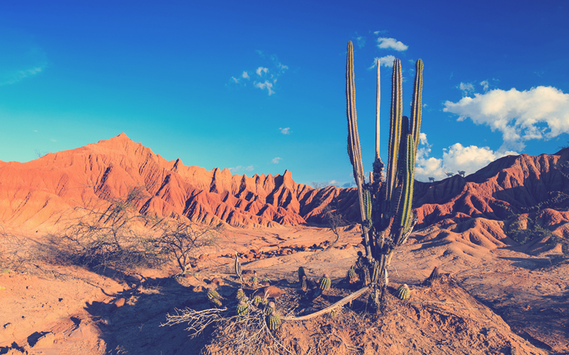 Desierto de la Tatacoa