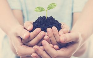 Manos de humanos sosteniendo una planta