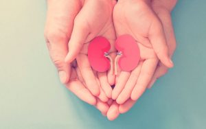 Adultos y niños sosteniendo papel en forma de riñón, Día Mundial del Riñó