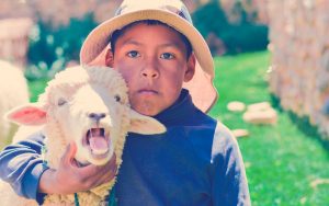 Niño en el campo junto con una oveja