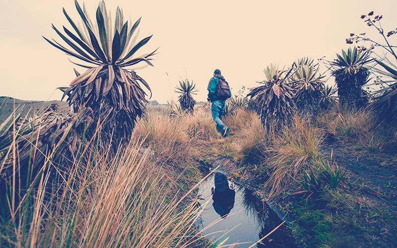 Un hombre caminando por el Parque Nacional de Chingaza