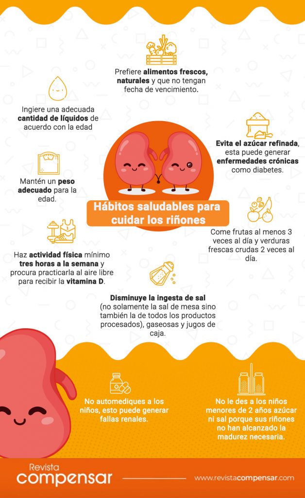 Hábitos saludables para cuidar los riñones