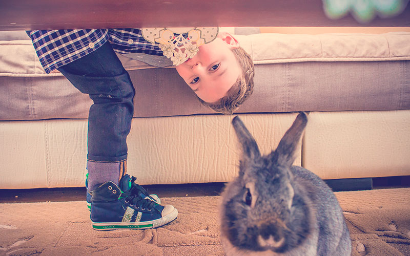 Un niño pequeño disfruta en casa con su conejo mascota, celebrando la Pascua