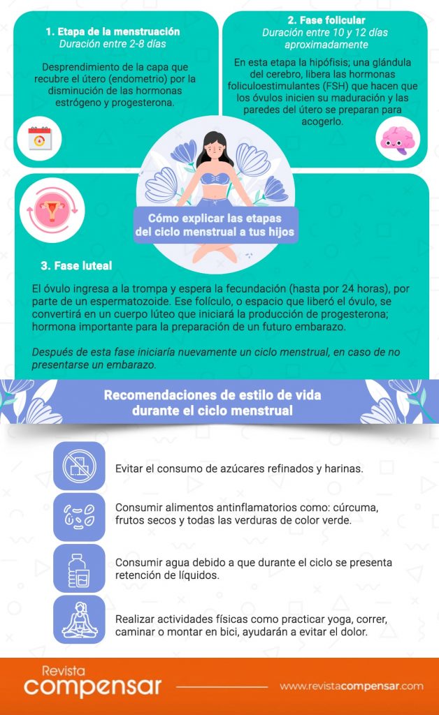 Infografía Menstruación