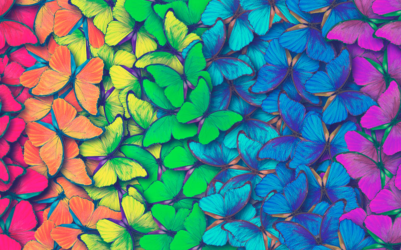 Colores de arcoiris. Patrón de mariposas multicolores morfo, fondo de textura