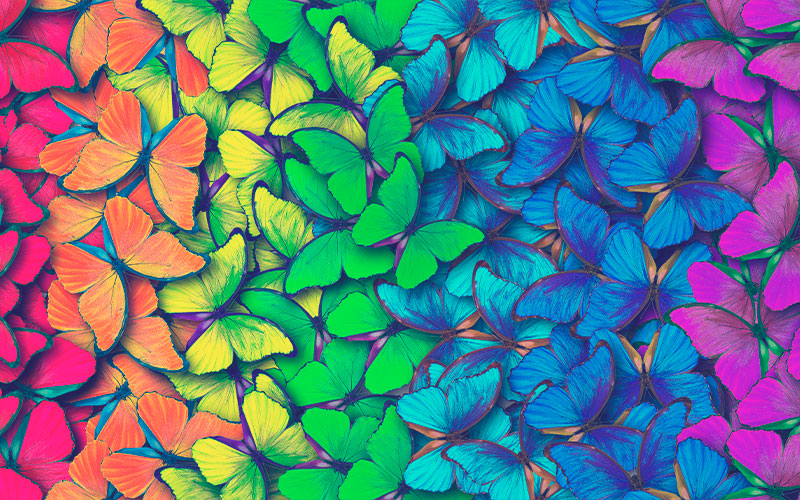 Colores de arcoiris. Patrón de mariposas multicolores morfo, fondo de textura