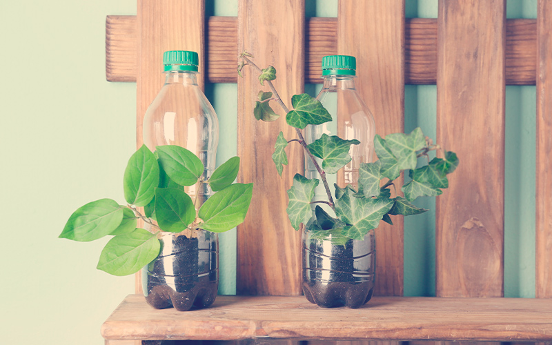 Estante de madera con botellas de plástico utilizadas como recipientes para plantas de cultivo