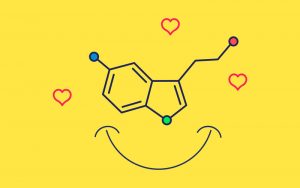 ¿Cómo aumentar la serotonina?