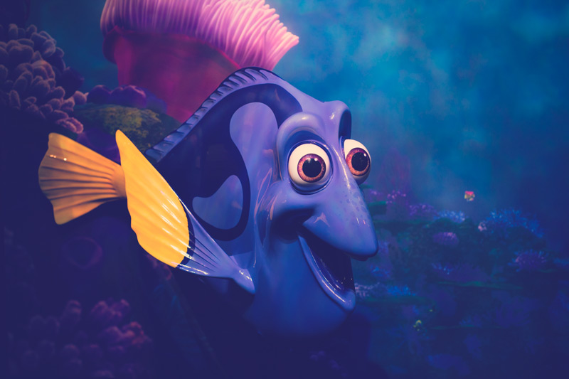 Dory buscando a Nemo