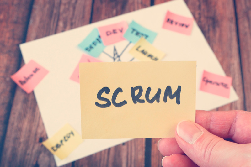 papel que tiene la frase scrum