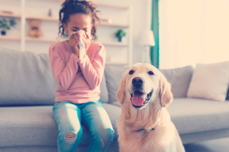 niña estornudando frente a un perro