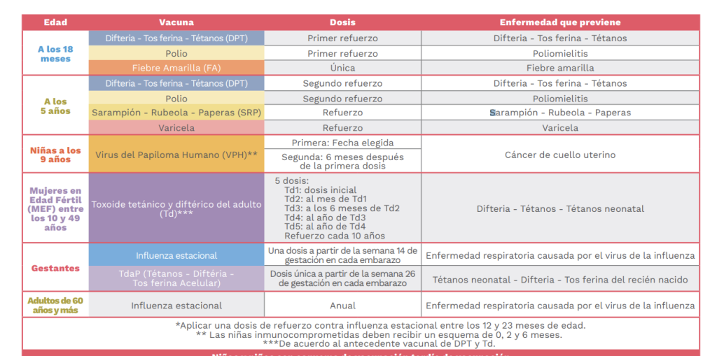 esquema de vacunación