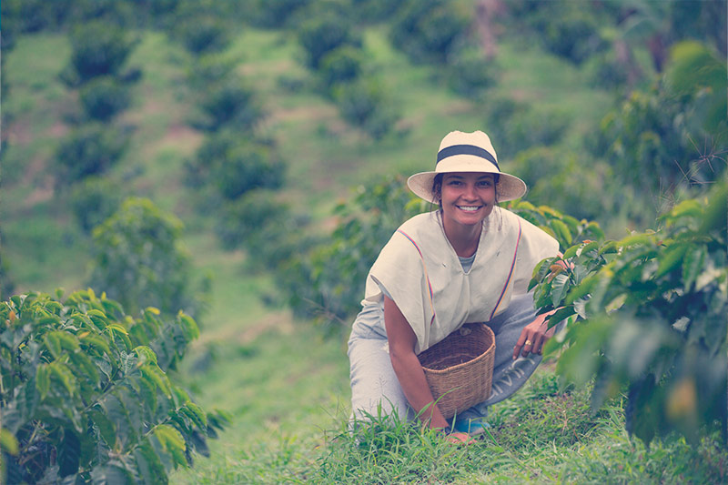 colombiano en un cultivo de café
