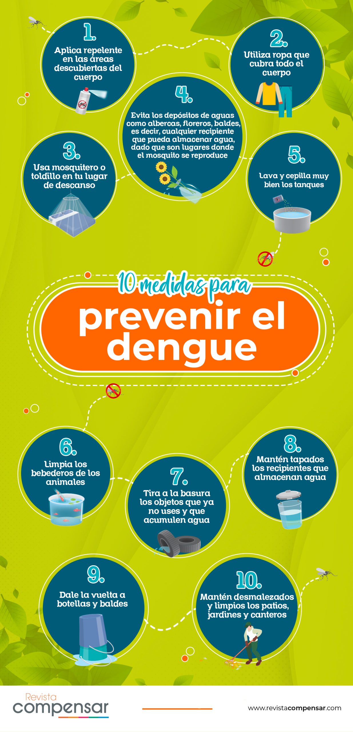 10 medidas para prevenir el dengue