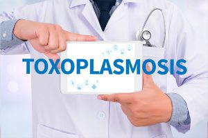 médico tiene una tabla que dice toxoplasmosis