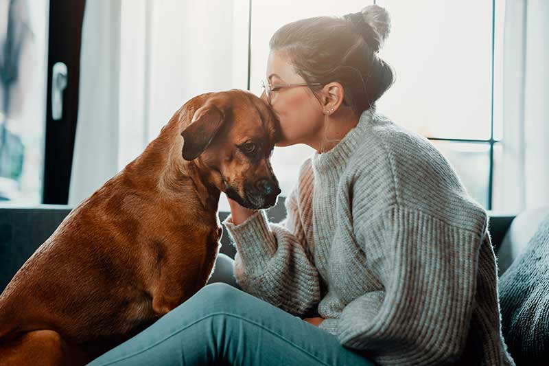 apoyo-emocional-de--las-mascotas