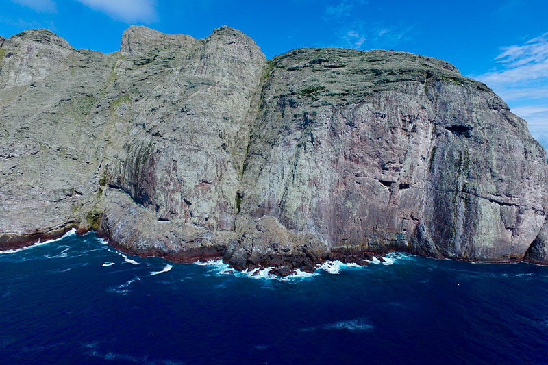 malpelo-buceo