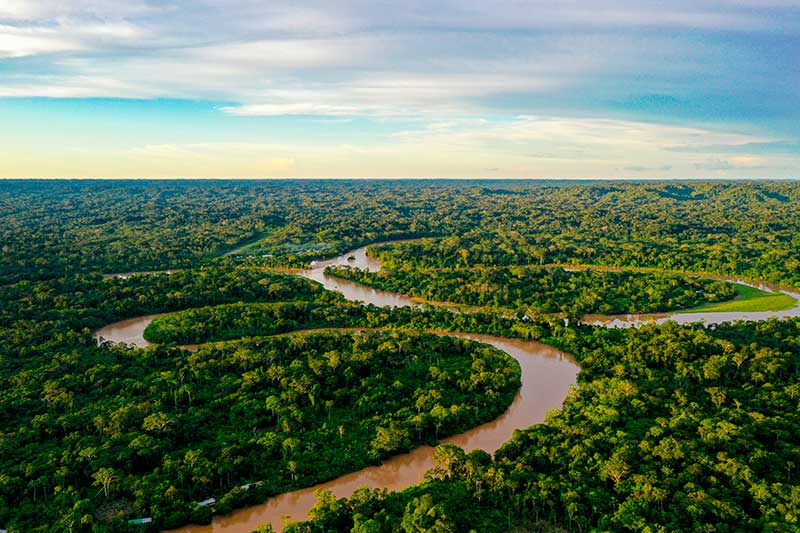 amazonas pulmon del mundo