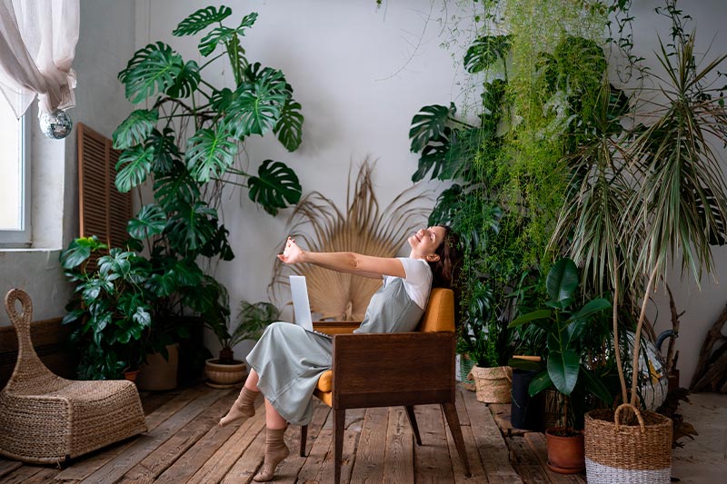 mujer alrededor de plantas