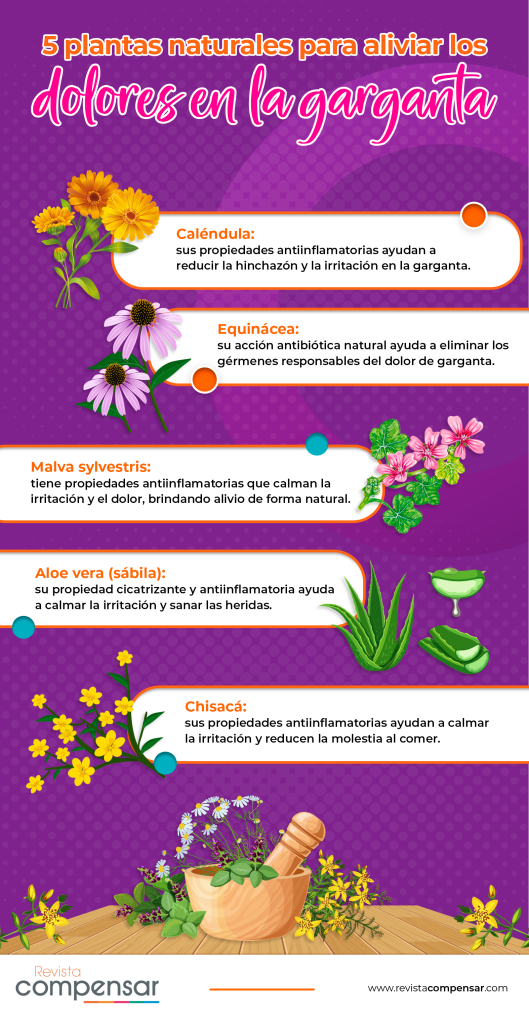 infografia plantas naturales para aliviar los dolores en la garganta