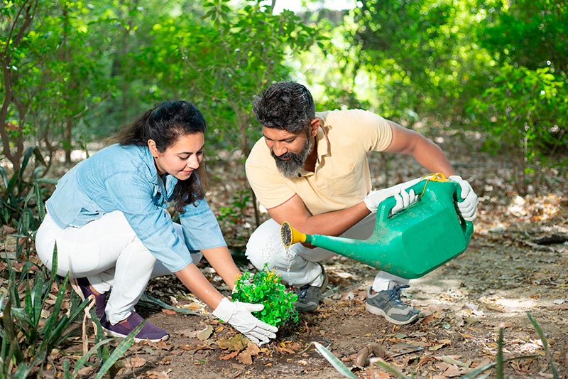 dos personas sembrendo un arbol