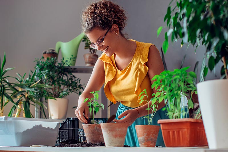 mujer arreglando una planta