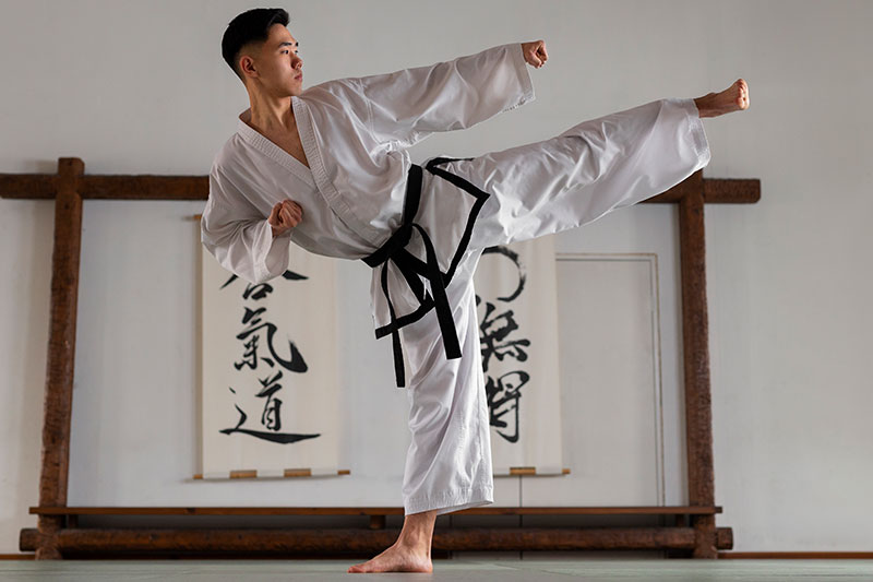 karate japon