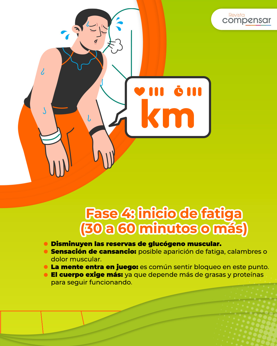Cambios Fisiológicos - Fase 4