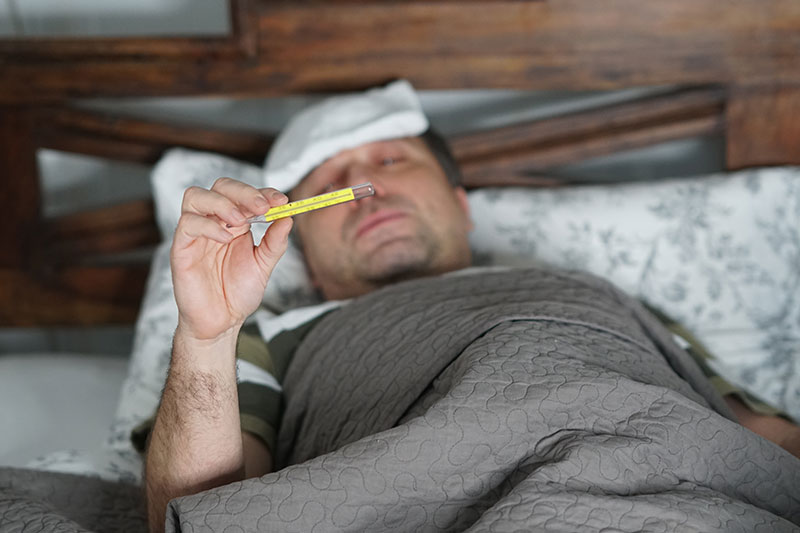 dengue y la fiebre amarilla