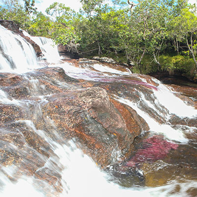 caño-cristales-colombia