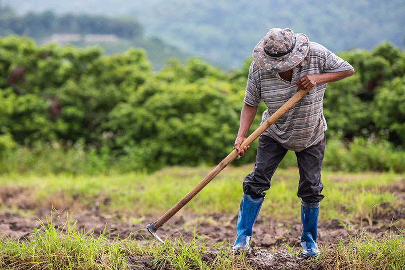 campesino con azadon labrando la tierra