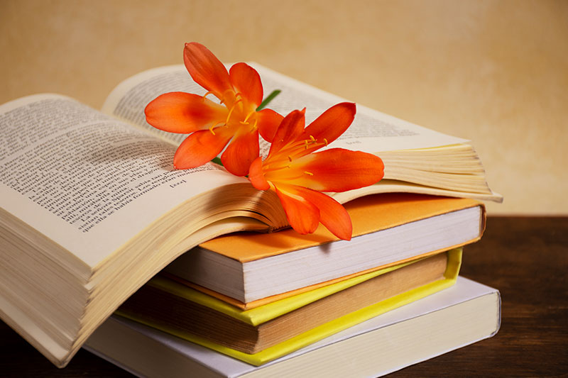 libros en fila